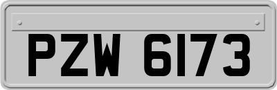 PZW6173