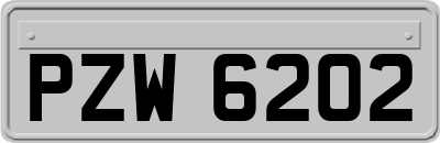 PZW6202