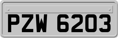 PZW6203