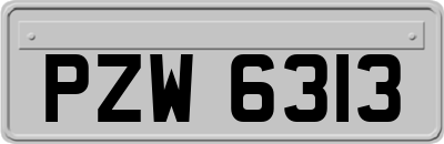 PZW6313