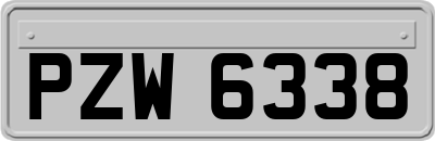 PZW6338