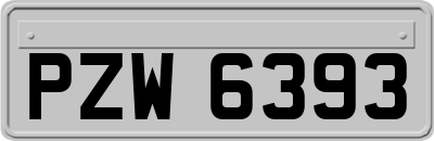 PZW6393