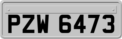 PZW6473