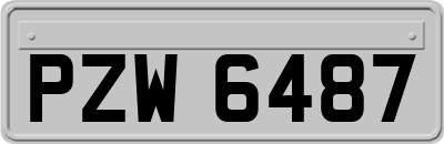 PZW6487