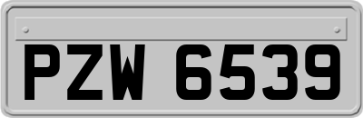 PZW6539