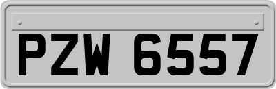 PZW6557