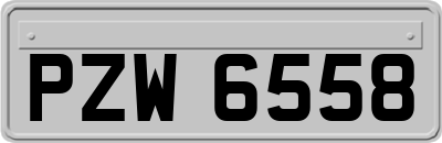 PZW6558