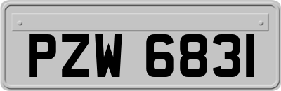 PZW6831