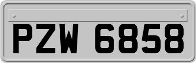 PZW6858