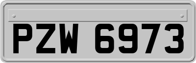 PZW6973