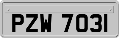 PZW7031