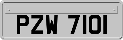 PZW7101