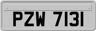 PZW7131