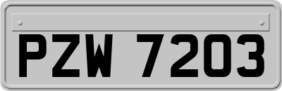 PZW7203