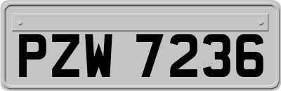 PZW7236