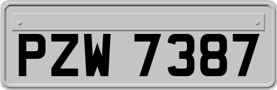 PZW7387