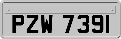 PZW7391