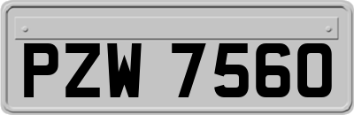 PZW7560