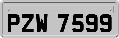 PZW7599