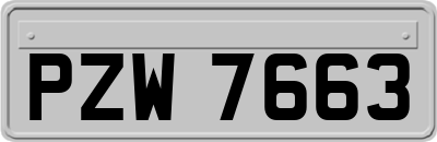 PZW7663