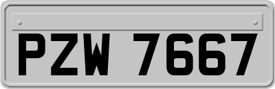 PZW7667