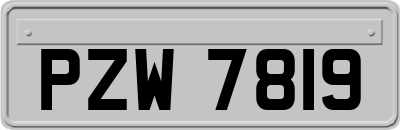 PZW7819