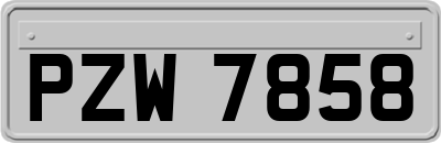 PZW7858