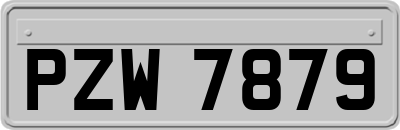 PZW7879