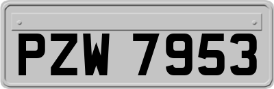 PZW7953