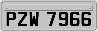 PZW7966