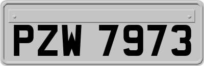 PZW7973