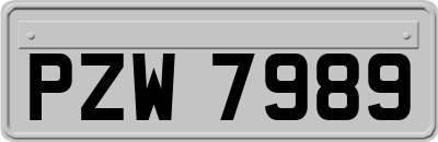 PZW7989