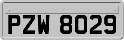 PZW8029