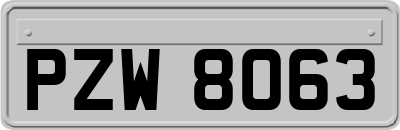 PZW8063