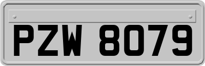 PZW8079