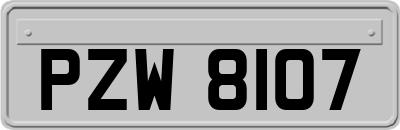 PZW8107