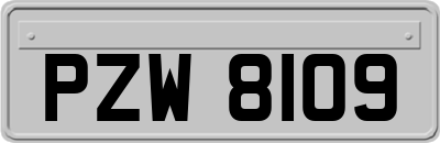 PZW8109