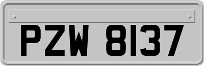 PZW8137