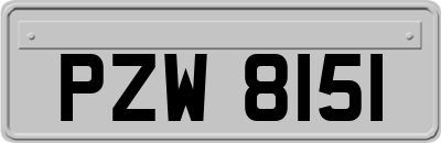 PZW8151