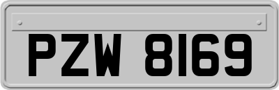 PZW8169