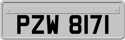 PZW8171