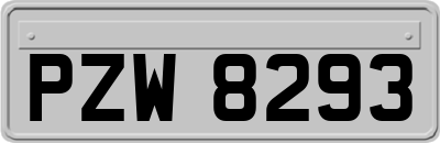 PZW8293