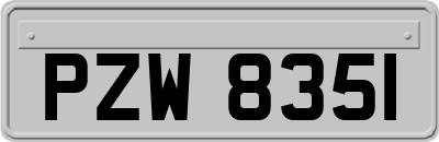 PZW8351