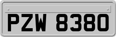 PZW8380