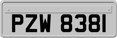 PZW8381
