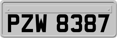 PZW8387