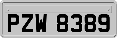 PZW8389