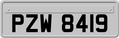 PZW8419