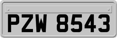 PZW8543