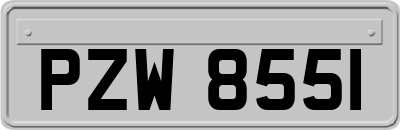 PZW8551